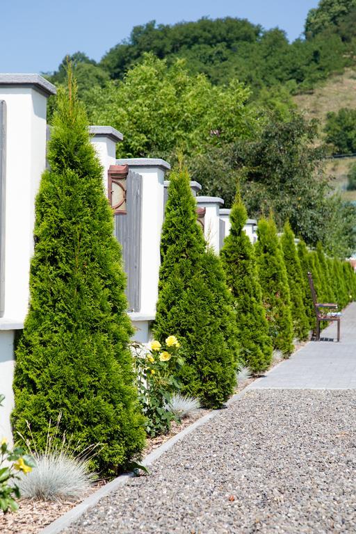 Curteni Country Court Bed & Breakfast エクステリア 写真